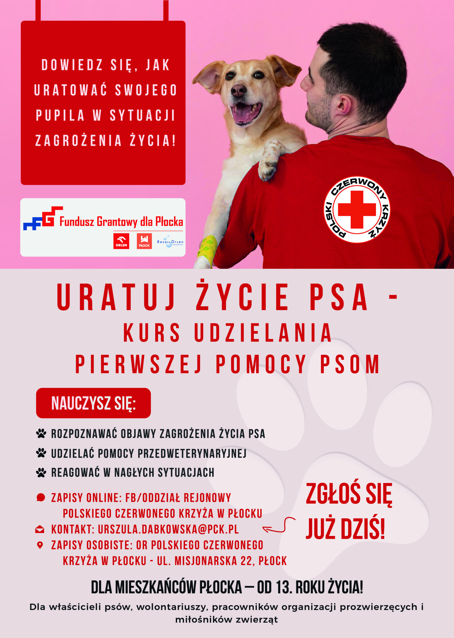 Plakat informacyjny Polskiego Czerwonego Krzyża z mężczyzną trzymającym psa na rękach, promujący kurs udzielania pierwszej pomocy psom „Uratuj życie psa” dla mieszkańców Płocka.