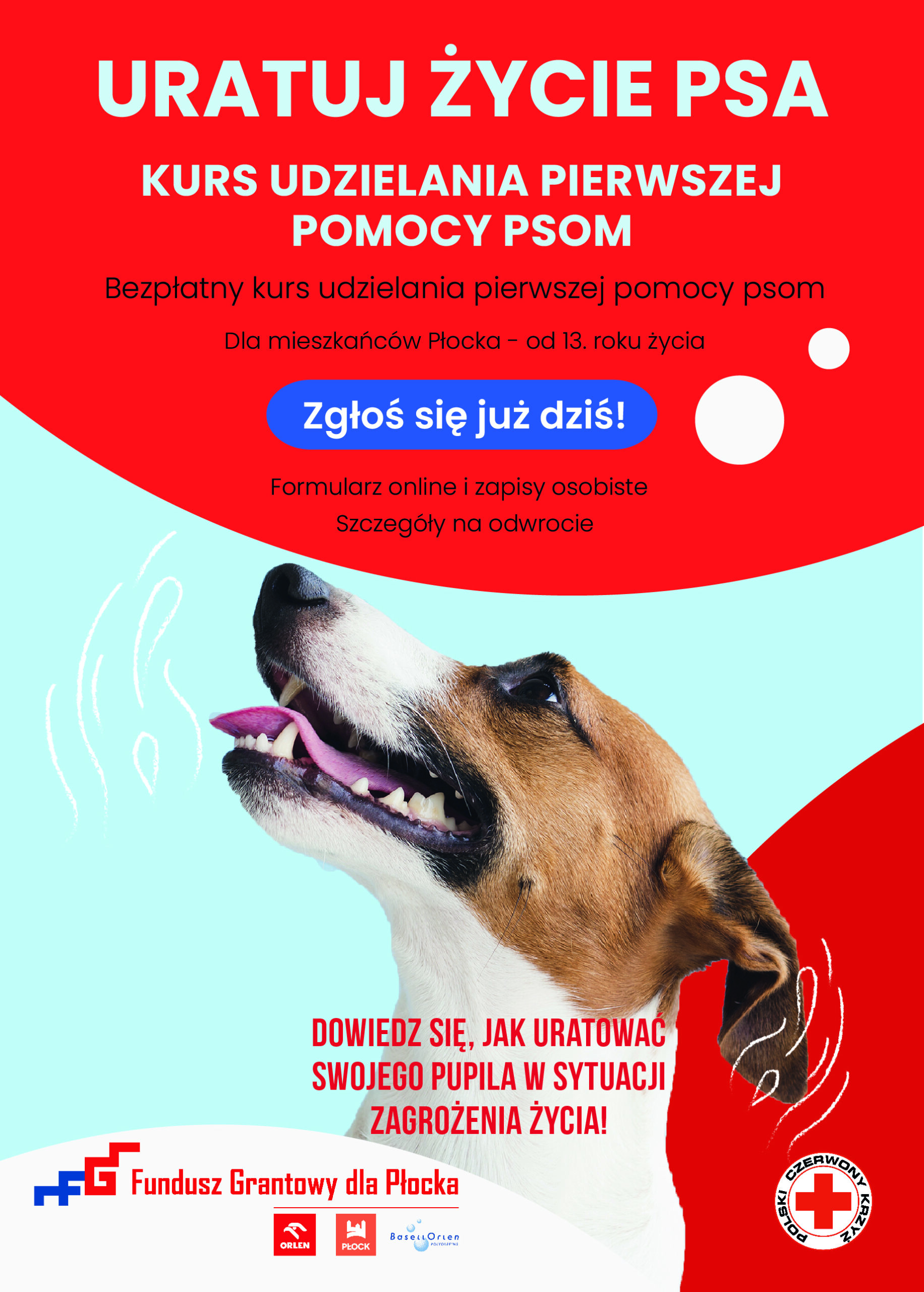 Plakat promujący bezpłatny kurs udzielania pierwszej pomocy psom dla mieszkańców Płocka z hasłem „URATUJ ŻYCIE PSA” i zdjęciem uśmiechniętego psa.